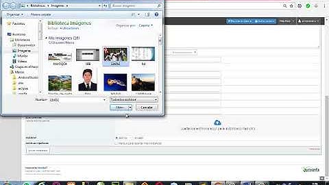 Instalación y uso Mantis Bug Tracker (HOSTING)