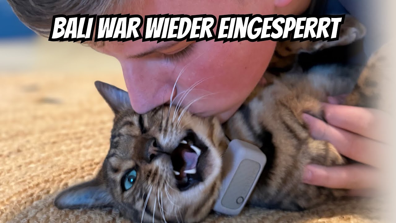 Wir hatten eine Debatte mit dem Bauern, bei dem Bali damals in einer Lebendfalle gefangen war