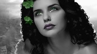 Murat Göğebakan Turnalardan Haber Veringülbiyeorhan