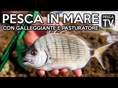 PESCA in MARE con GALLEGGIANTE E PASTURATORE : Canne da pesca e mulinelli in azione in scogliera