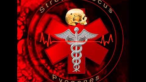 Streptococcus Pyogenes - 12 Tracks (From the Split with Infester)