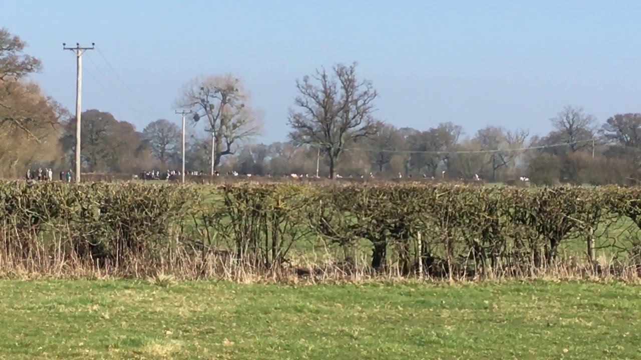 The Golden Button 2019-fence 3