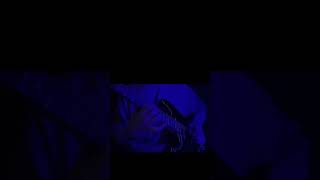 Kalacak Yüzün Var Mı??