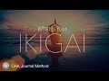 What is Your Ikigai?