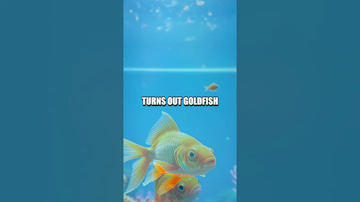 Do Goldfish Really Have a 3-Second Memory?