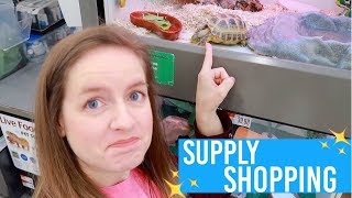 Tortoise Light Problem & Pet Supply Haul
