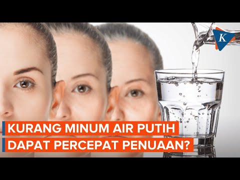 Simak! Minum Air Putih Dapat Menunda Penuaan dan Penyakit Kronis