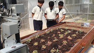 Tithonus: Real-Time Smart Pest Monitoring Detection System for Urban Farming with Farmbot & YOLOv5