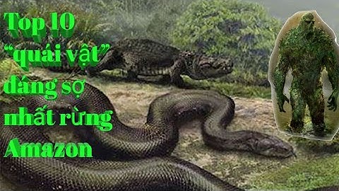 Top 10 “quái vật” đáng sợ nhất rừng Amazon ((Top 10 most feared "monsters" of the Amazon forest))