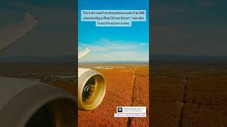 Landing At Shin-Chitose Airport. Autumn Leaves.