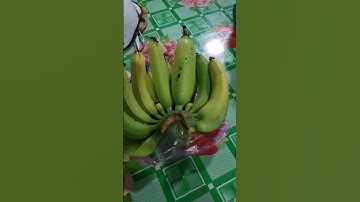 Trái chuối bị đột biến 😄 #shorts #chuyenla #funny #shortvideo