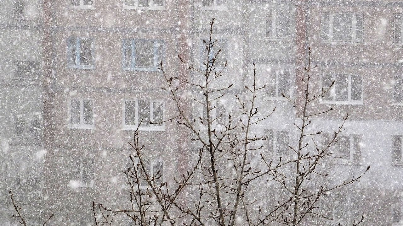 алмазная пыль атмосферное явление. атмосферное явление снегопад. зимние погодные явления. снегопад. зимний лес.