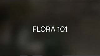 FLORA 101 - FLORA Academy