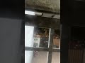 Tried calling him but he didn’t get back