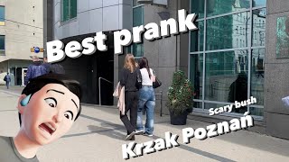 Best Prank,Funny video,człowiek krzak,Poznań