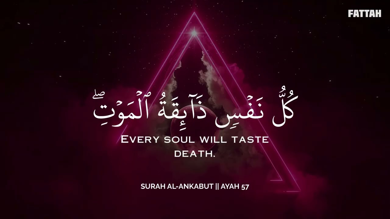 رح سمعك وقلبك بالقرآن❤️🎧 وأستمع لتلاوة هادئه بصوت محمد هشام | راحة نفسية😌 | Mohamed Hesham