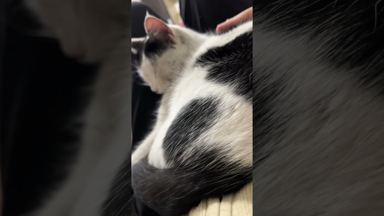 Неужели дождалась 😅