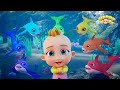 Learn Colors With Baby Shark | Nursery Rhymes &amp; Kids Songs | HappyTots