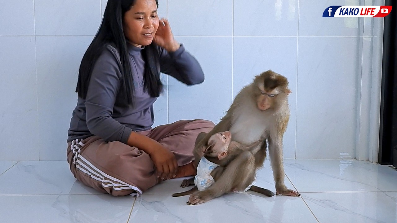 Mommy Luna Not Allow Baby Luka Drink Breast Milk