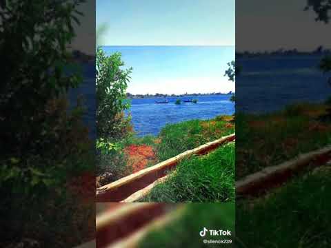 ليله عند الحبايب اوكا وارتيجا حالات واتس