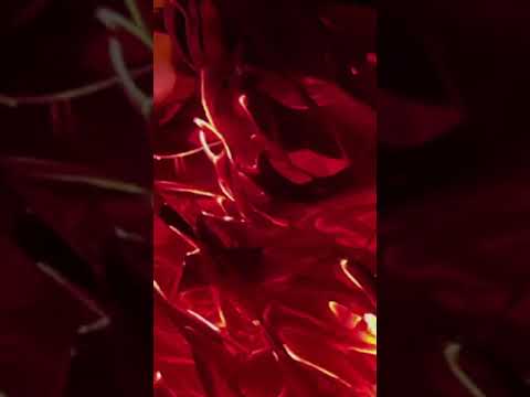 테슬라[04] 테슬라 가격 상승 2021.10