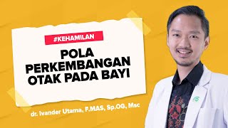 Pola Perkembangan Otak Pada Bayi dr. Ivander Utama, FMAS, SPOG, MSc | Bincang Dunia Parenting TV