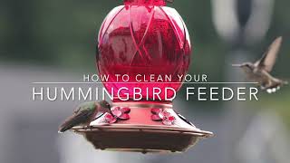 How To Properly Clean A Hummingbird Feeder