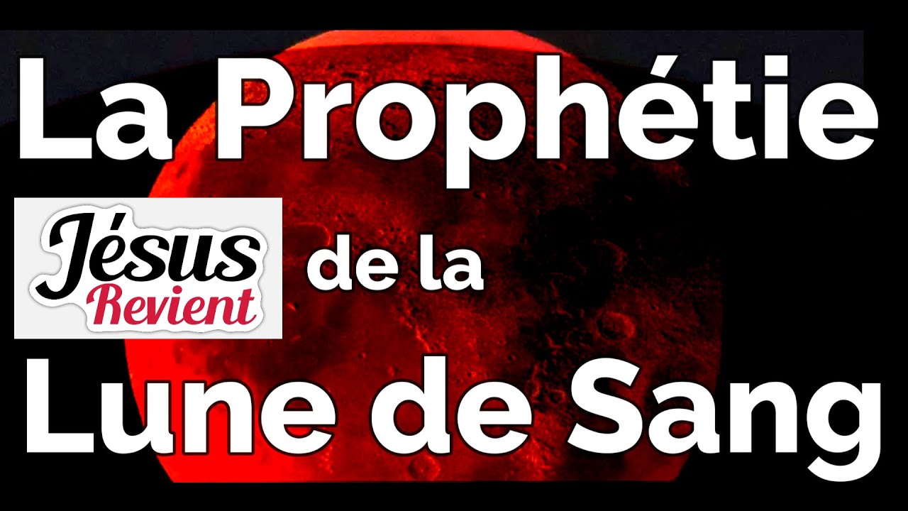Remnant 2: Comment obtenir l'essence de la lune de sang et l'utiliser