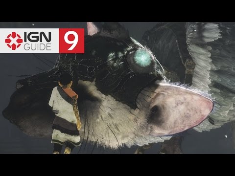 Un casque pour un tonneau [The Last Guardian