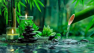 Beautiful Piano Music 🌿 Bamboo, Relaxing Music, Nature Sounds, Relieves Stress Music, Calming music