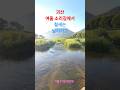 괴산 여울 소리길에서/In Goesan Yeoul Sori-gil #shorts 철새는 날아가고/The migratory birds fly away.#윤드림 /Yoon Dream