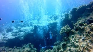 DAHAB - Dive at the Canyon - June 25th, 2019