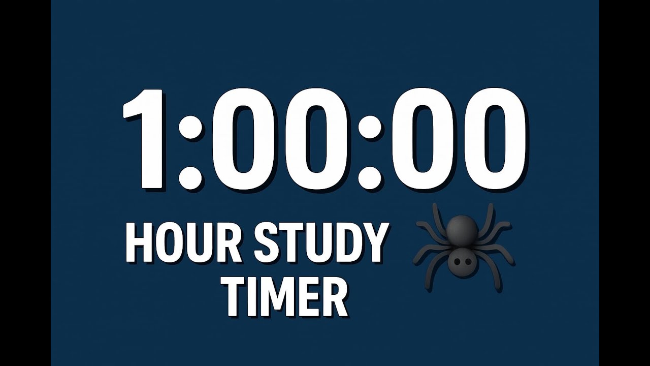 1 Hour Study Timer | 1 Saat Çalışma Kronometresi - YouTube