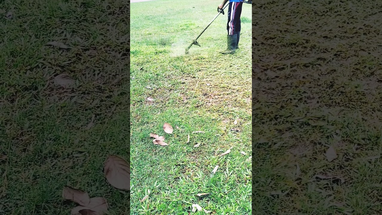 Grass cutting YouTube