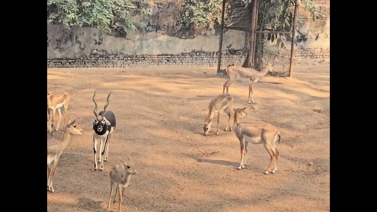 Day in a Guwahati || Guwahati Zoo 🙈🙉🙊