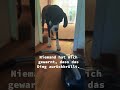 Böses Ding #youtubeshorts #funnydogs #viral #funny #dogshorts #foryou #explore #reels