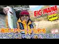 関西メジャーレイク攻略 冬の東条湖でビッグバスを狙う!!【前編】
