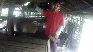 TUTORIAL SOROK LETHONG YANG BENAR !!