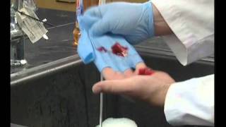 PREMIER - LAB - Safe Handling Of Lab Glassware 2011