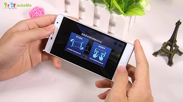 LEAGOO ELITE 4 1.0GHz Quad Core 5.0 Inch IPS HD Screen Android 5.1 4G LTE Smartphone White