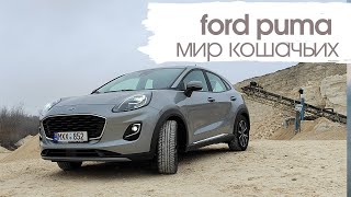 Ford Puma 2022 Titanium: домашний котенок или зрелый уличный кот? #ford #fordpuma