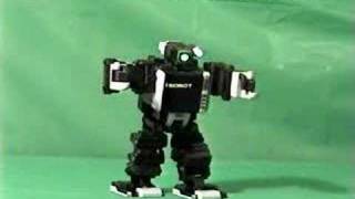 Robodance : i-SOBOT Movement Demo - Left_Punch