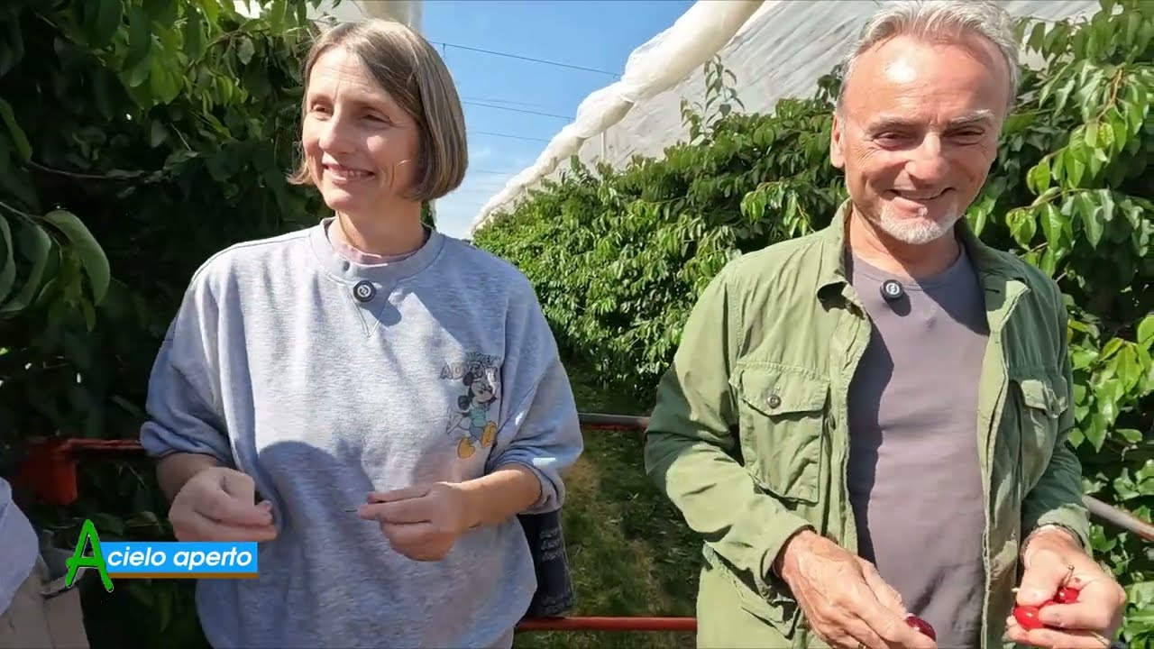 Puntata del 25-05-2025 - 2° parte LE CILIEGIE DI VIGNOLA DELL'AZIENDA GIUSTI