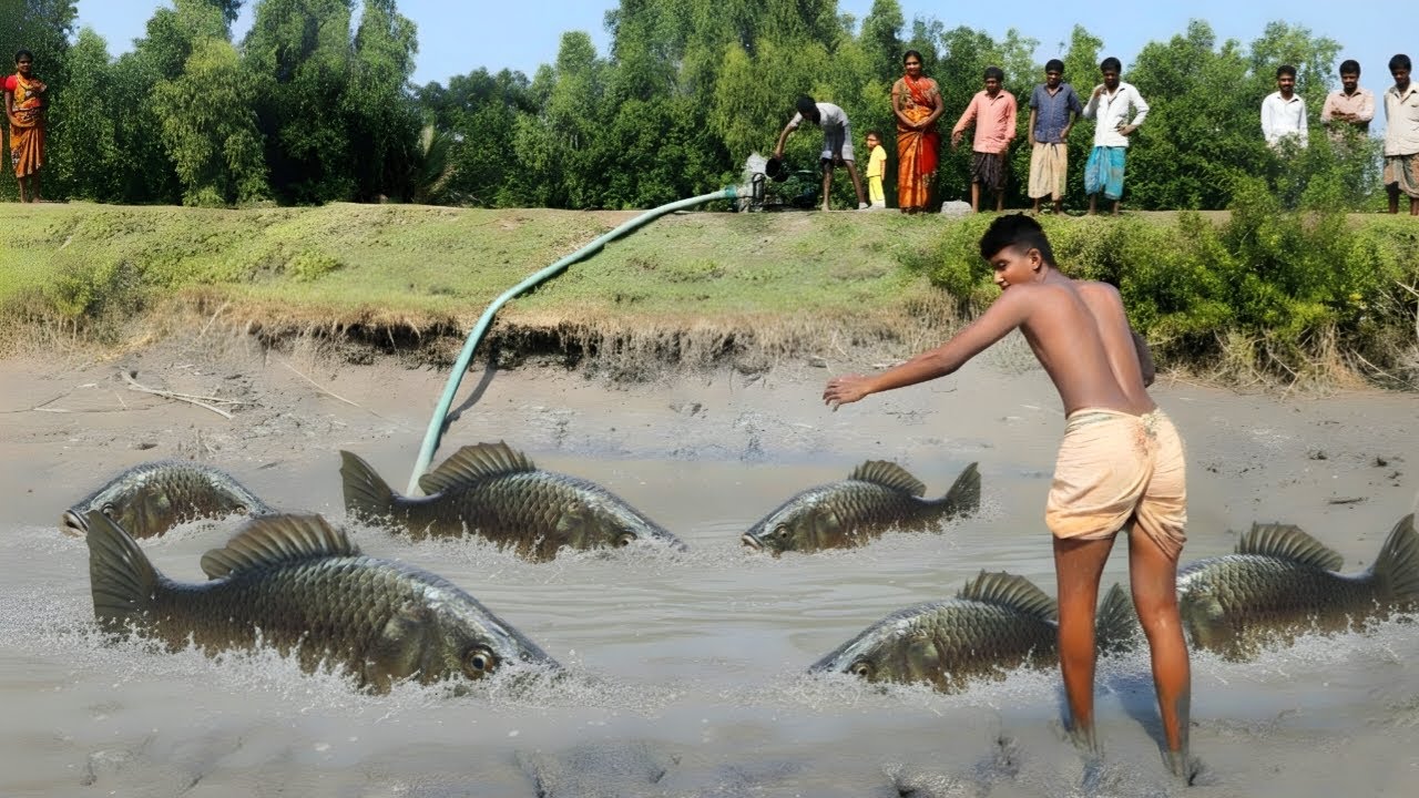 Giant Monster Fish Explode Out of Muddy Pond! Unbelievable Footage Caught on Camera!