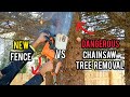 New 10000 fence vs dangerous tree removal  insane storm tree removal revive tips