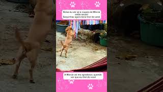 Tirando A Roupa Do Varal