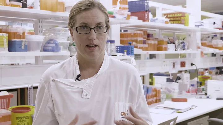 UQ researchers discover link between gut and type 1 diabetes