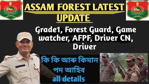 ASSAM FOREST Big Update , 📢 Grade 1, Forest Guard, Game watcher, AFPF, Driver, CN Driver সাজু হোৱা 