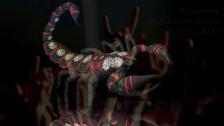 Do scorpion logo