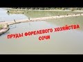 Пруды форелевого хозяйства Сочи